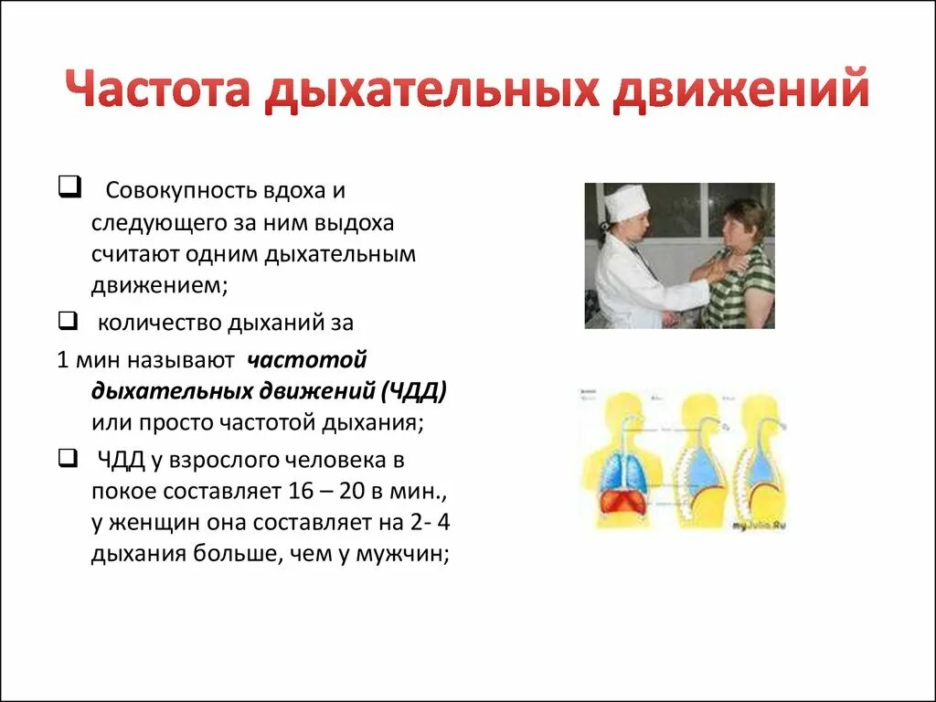 Определение частоты дыхательных движений. Определение частоты дыхательных движений