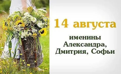 С 11 по 15 августа