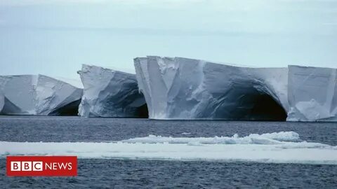 Шельфовые ледники антарктиды название