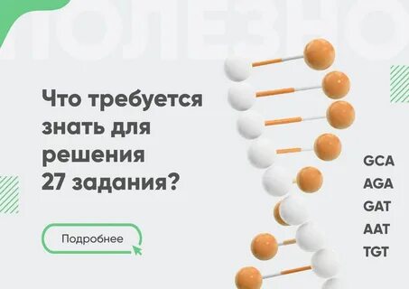 Бот решающий задачи