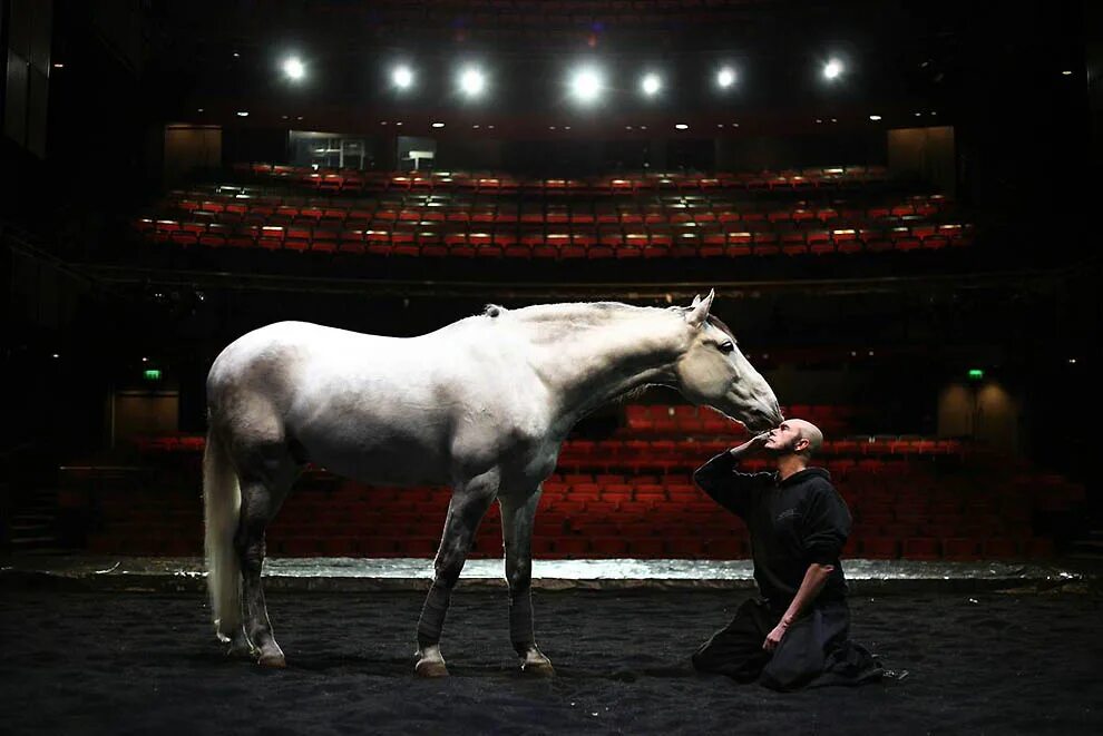 театр уголок дедушки дурова. цирк зверей дурова. животные сцене. животные сцене. театр зверей дедушки дурова.