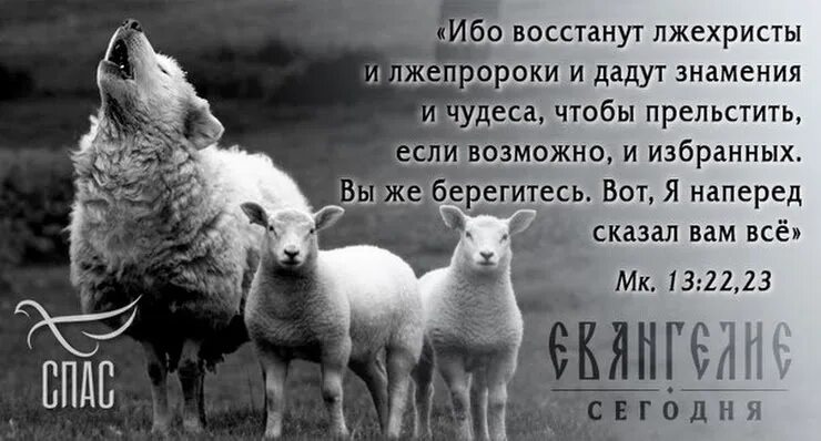 И многих прельстят