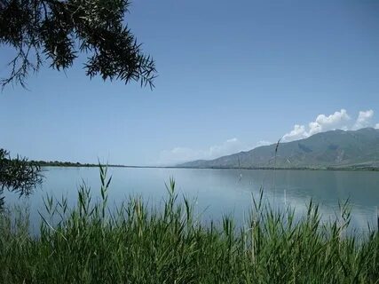 Погода с иссык куль тюпский