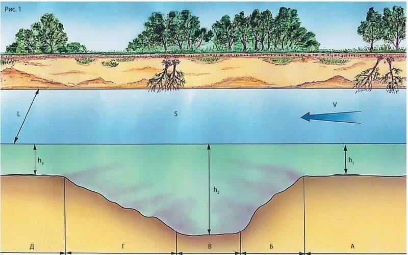 Рельеф дна реки, бровка,. Строение дна реки. Река яма. Донная яма.