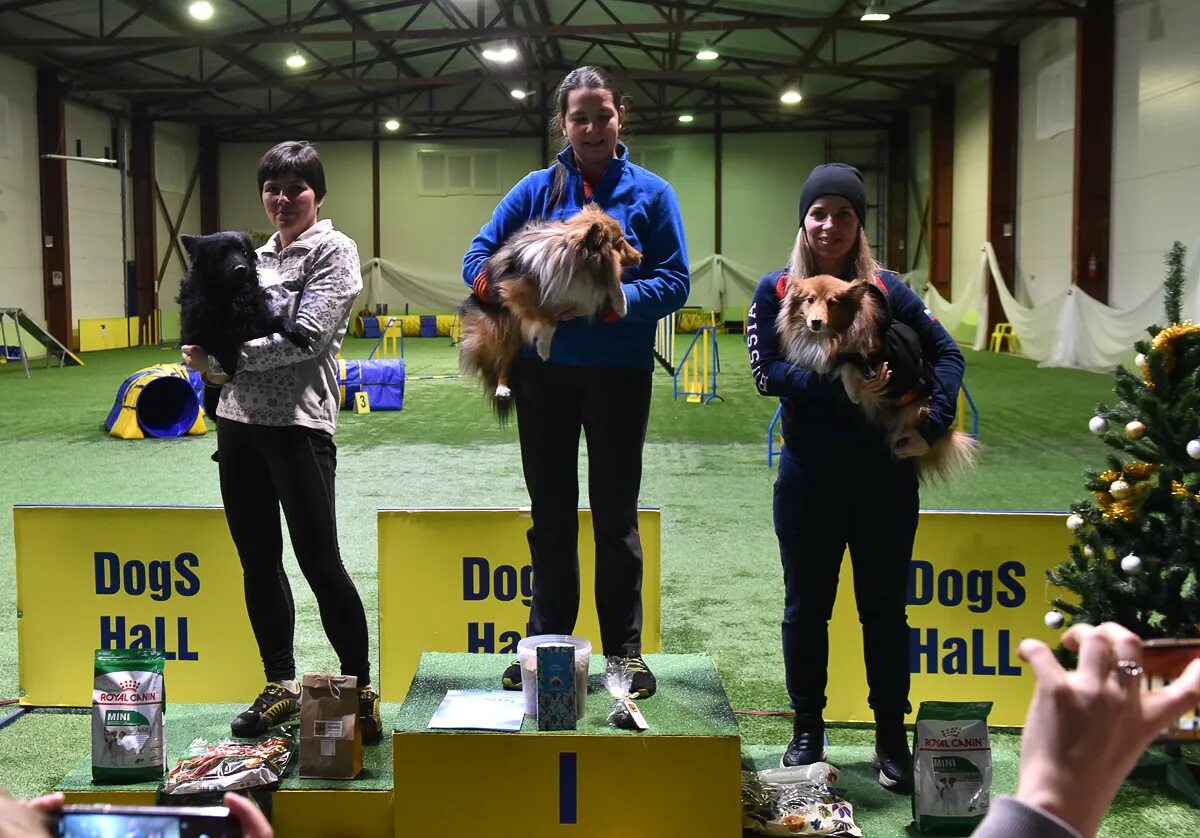 Dogs hall. Дог холл. dog hall новосибирск. dogs hall парковка. aisknekht daiquiri выставка.