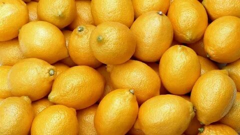Обои лимонов