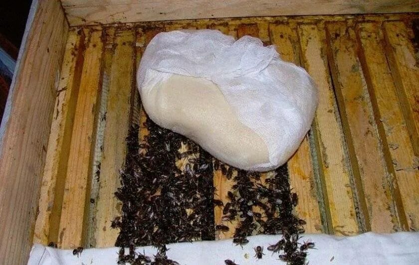 Канди для пчел. Лепешка Канди для пчел. Подкормка пчел зимой.