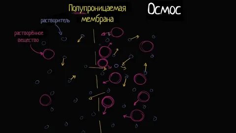 Осмос вид транспорта