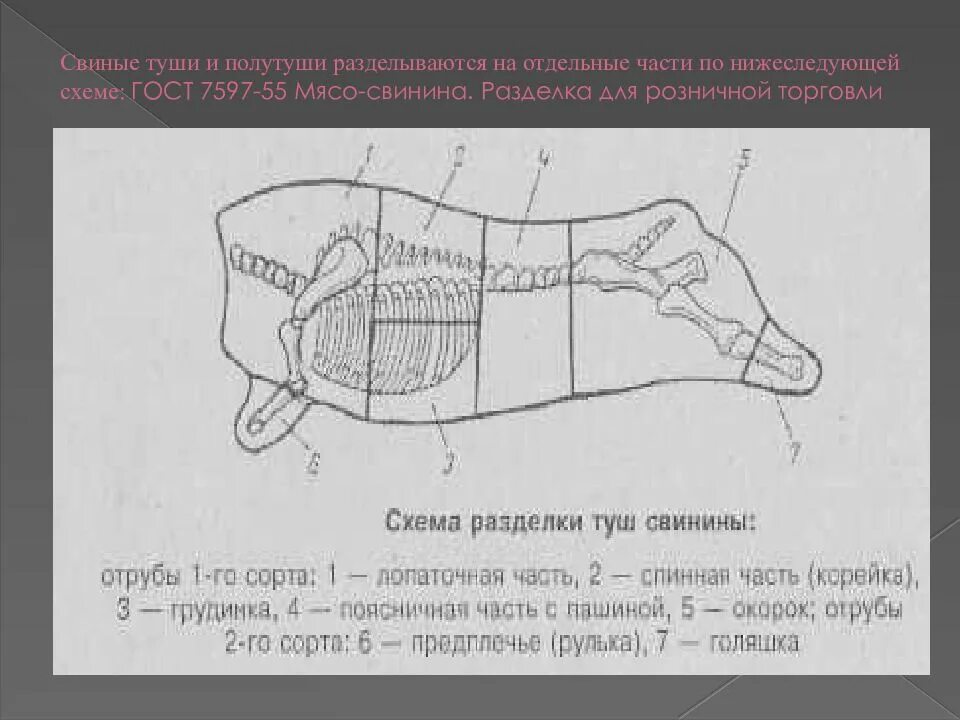 Сортовая разрубка туш свиней. Схема разрубки полутуши свиньи. Схема розничной разделки свиной туши. Схема сортовой разрубки свиней. Названия частей свиньи