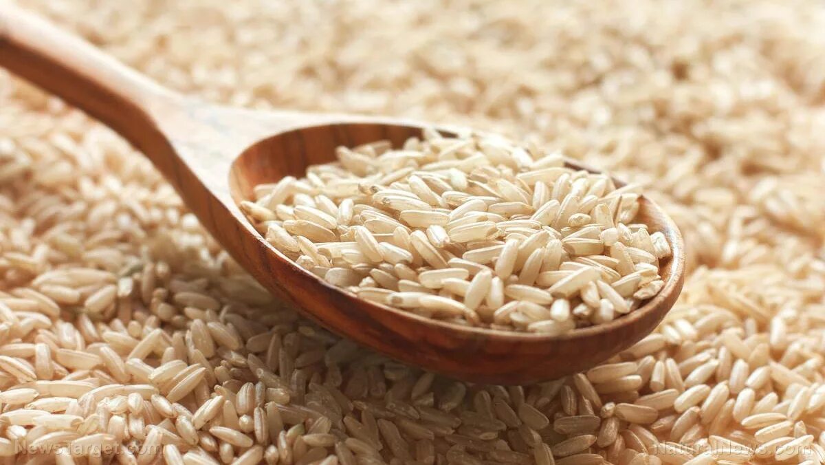 Brown rice