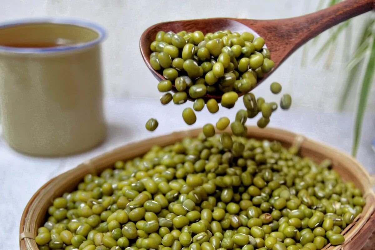 Зеленый ингредиент. Мунг банг. Бобы мунг растение. Мунг банг. Мунг чилка.