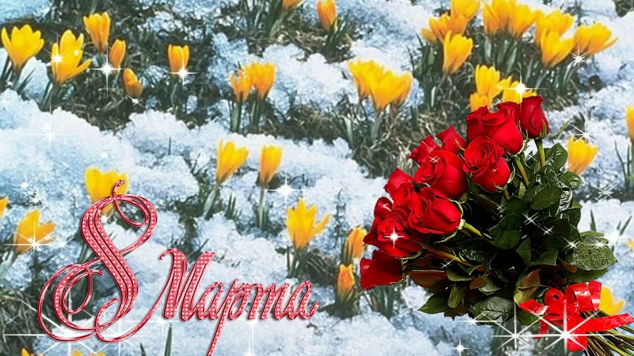 Марте видео. Март видео.