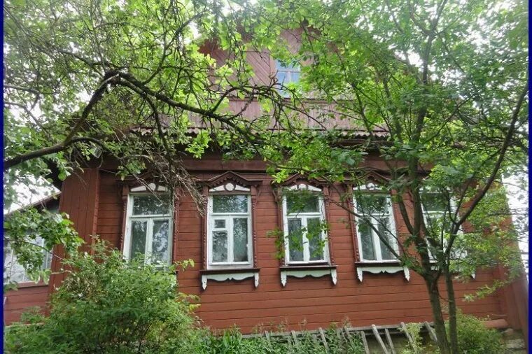 Под кронами московская область. Под кронами московская область