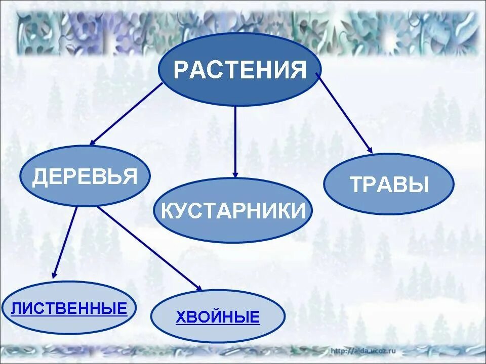 Зимние явления неживой природы 2