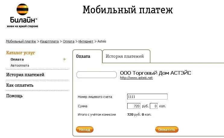 Оплата интернета билайн через интернет. Мобильный платеж Билайн. Счет на оплату Билайн. Номер счета Билайн. Оплата со счета мобильного телефона.