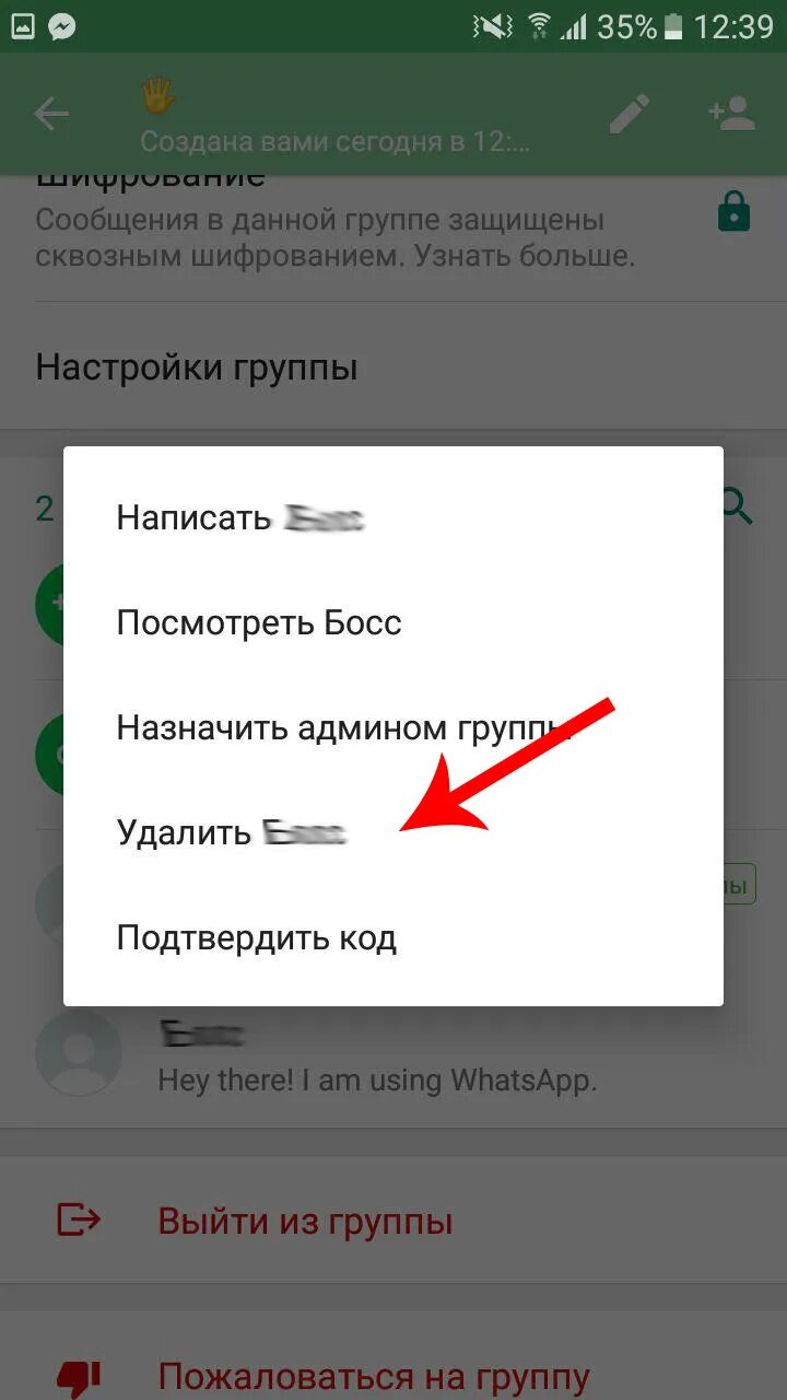 Как удалить группу в вот сапе. Как удалить группу в вотсапе. Какиудалить группу в ватсап. Как удалить группу в ватс апп. Как отключить аудиочат в ватсап группе админу