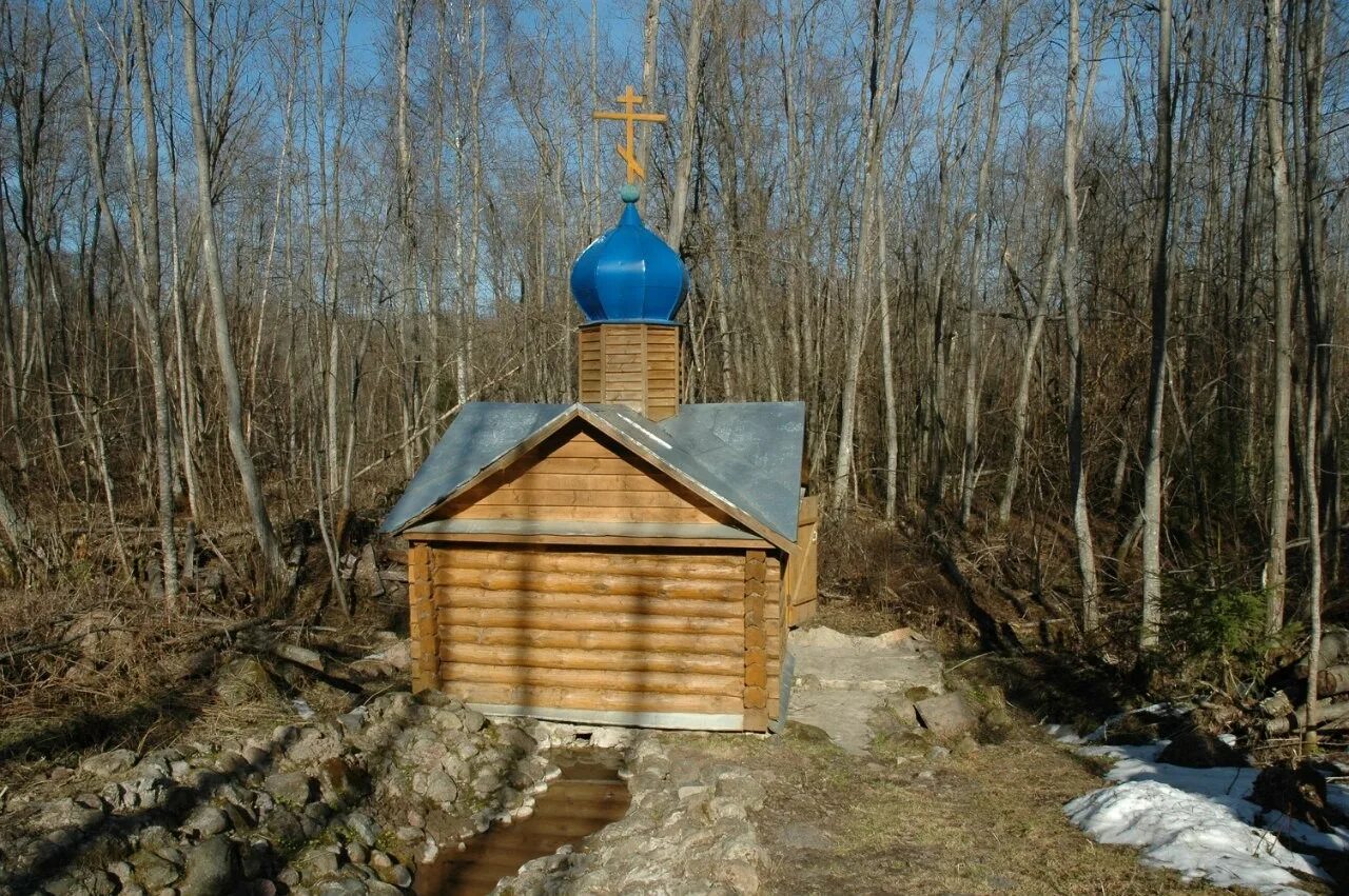 Свято-Введенский женский монастырь Псковская область Владимирец. Свято-Введенский монастырь Островский район. Свято введенский монастырь псковская область