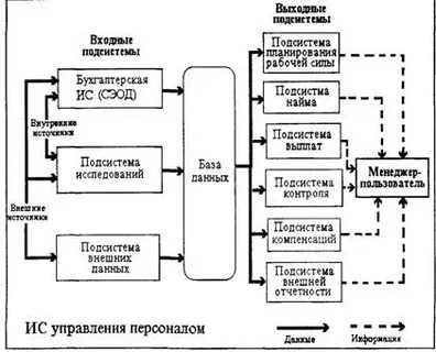 Информационная система руководства