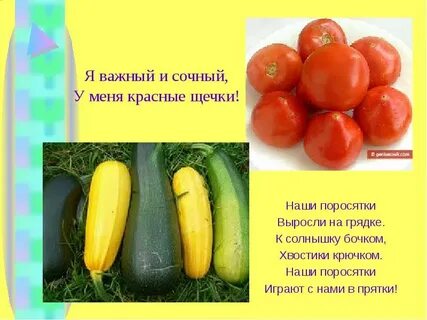 Наши поросятки выросли на грядке