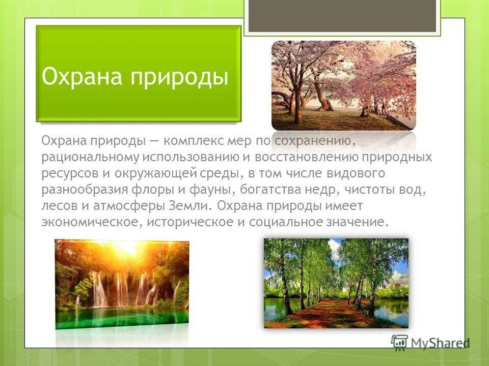 Сохранение природных комплексов и охрана. Сохранение природных комплексов и охрана