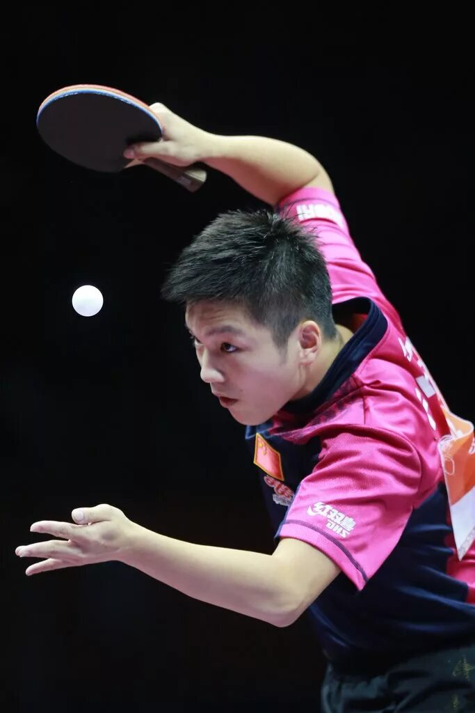 Fan zhendong