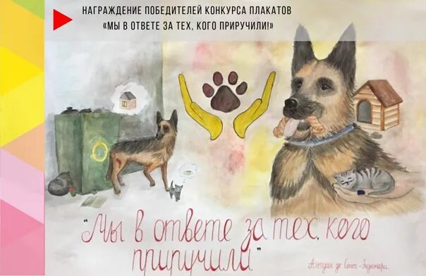 Мы в ответе за тех кого приручили конкурс. Мы в ответе за тех кого приручили конкурс рисунков. Рисование мы в ответе за тех кого приручили. Мы в ответе за тех кого приручили рисунок 3 класс. Рисунок тех кого мы приручили.