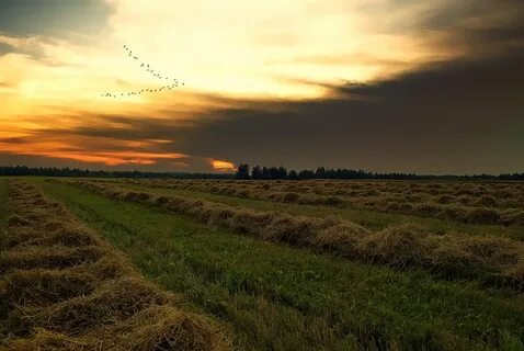 Земля прощается с землею