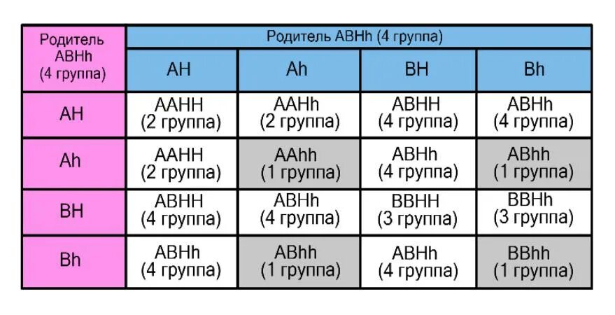 Второй фенотип группы крови. Бомбейский фенотип группы крови. Бомбейский феномен. Бомбейский феномен группа крови. Бомбейский феномен задача.