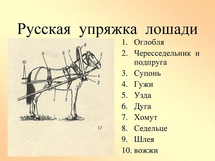 Упряжь для лошади схема хомут. Детали упряжки лошадей. Названия деталей упряжи для лошади. Оглобли для лошади.