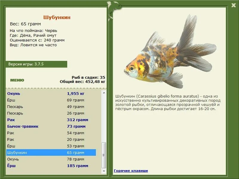 Русская рыбалка золотая рыбка. Карась шубункин. Классификация золотой рыбки. Вес золотой рыбки. Золотая рыбка совместимость.