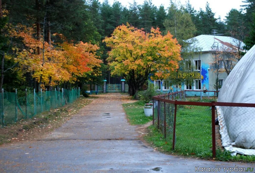 Пионерский лагерь Зорька. Пионерский лагерь Зорька Наро-Фоминский район. Лысьва Пермский край лагерь Зорька. Лагерь Северная Зорька Ленинградская область. Село зорьки