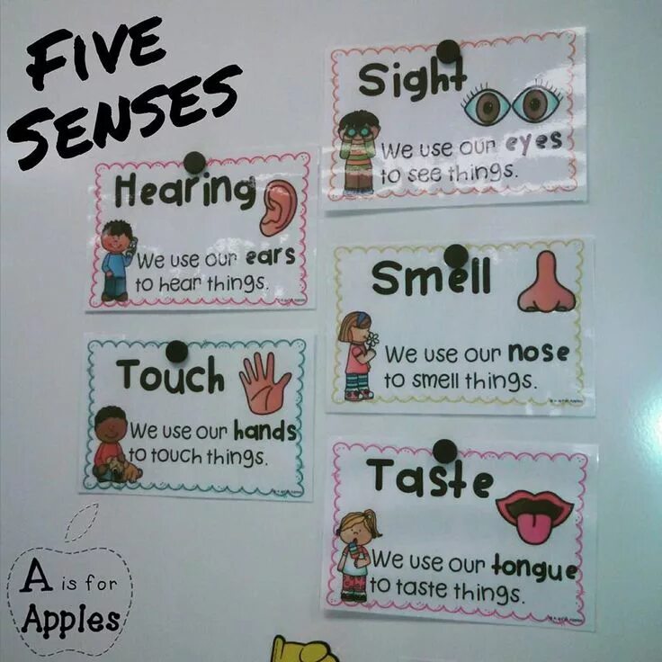 5 Senses poster. Things that smell плакат. Jjos with all the senses posters.