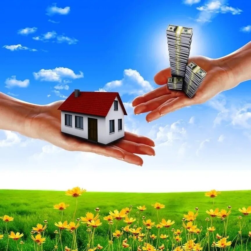 Агентствонедвижимости. Экология дома. Агенства недвижимости. Домик для денег. Земельный участок.