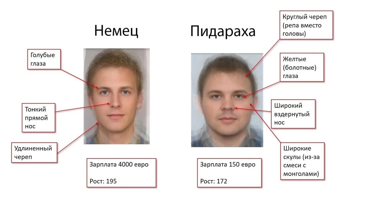 Черты внешности немцев. Немец и русский внешность. Усредненный портрет русского. Русский мужчина внешность типичная. Отличен от