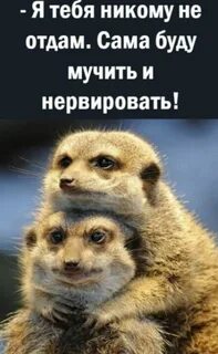 Отдали саму