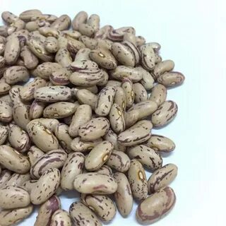 Фасоль сухая