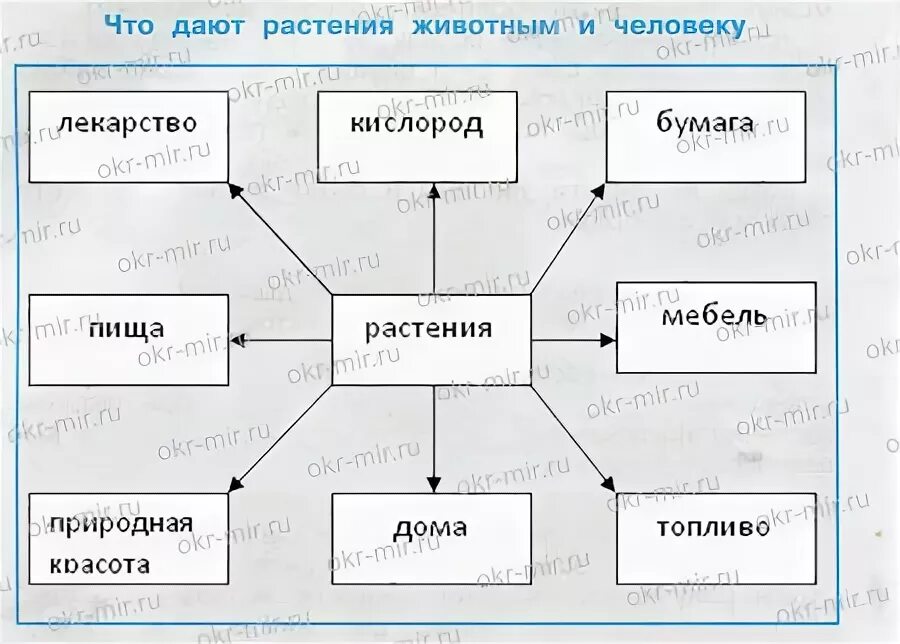 Покажи на схеме при помощи стрелок какое. Схема что дают растения животным и человеку окружающий мир 3 класс. Схема что дают растения животному и человеку 3 класс окружающий мир. Что дают растения животным и человеку схема 3. Что дают растения животным и человеку схема 3 класс.