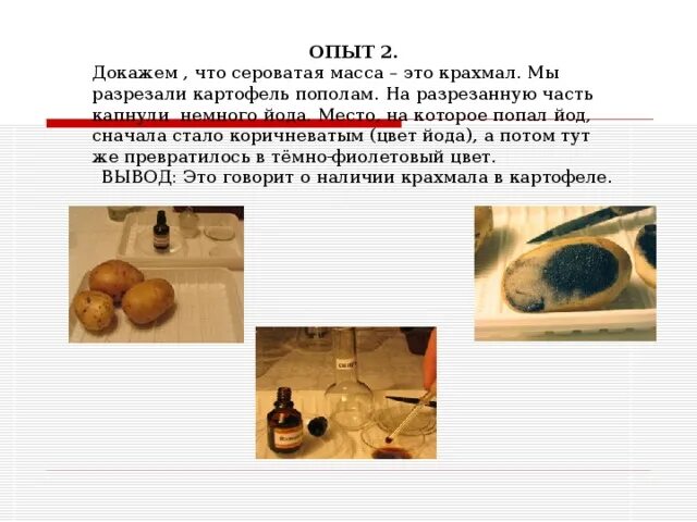 Крахмал в картофеле eCookie.ru