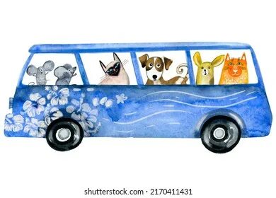 Pet bus