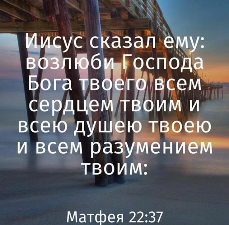 Возлюби господа всем сердцем твоим. Возлюби Господа Бога твоего всем. Иисус сказал ему Возлюби Господа. Матфея 22 37.