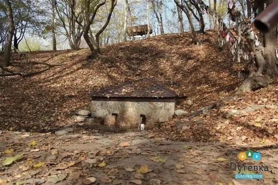 Дагестан санаторий кпул ятар. Санаторий кпул-ятар дагестан. кпул ятар санаторий касумкенте. кпул ятар лес.