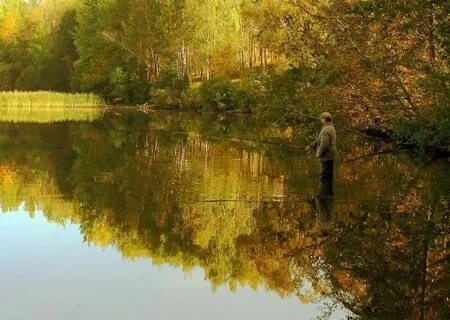 Осень лови