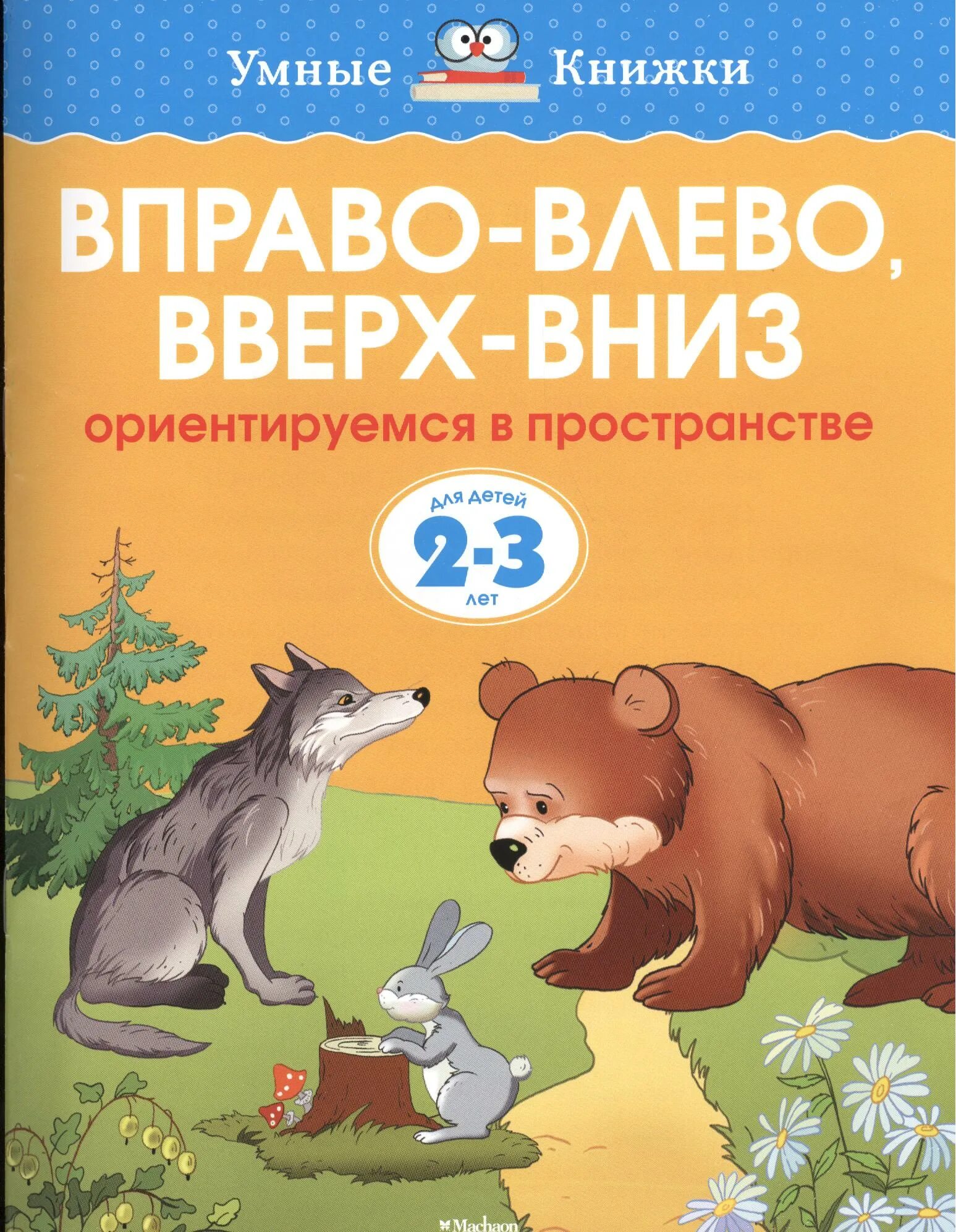 Ребенок ориентируется в пространстве. Ориентировка в пространстве верх низ. Умные книги. Ребенок ориентируется в пространстве. "умные книжки.