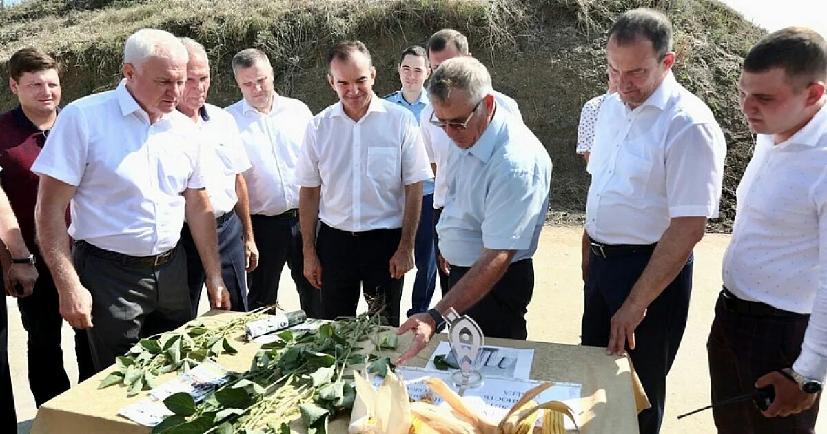 Дтп краснодарский край. Кубань 24 новости сегодня. Дтп краснодарский край. Новости кубани сегодня последние свежие. Новости сегодня кубани последние краснодарского края.