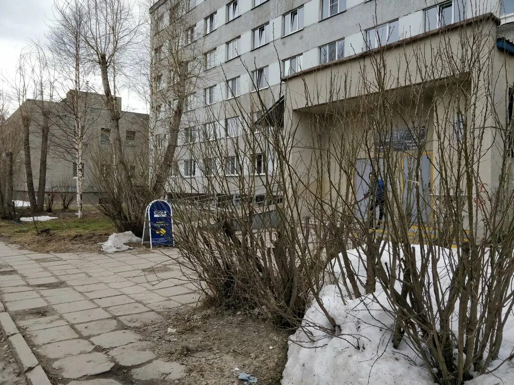 Центр глаза ухта. Микрохирургия глаза ухта. ухта глаза микрохирургия глаза. гауз рк республиканский центр микрохирургии глаза. космонавтов 1 ухта.