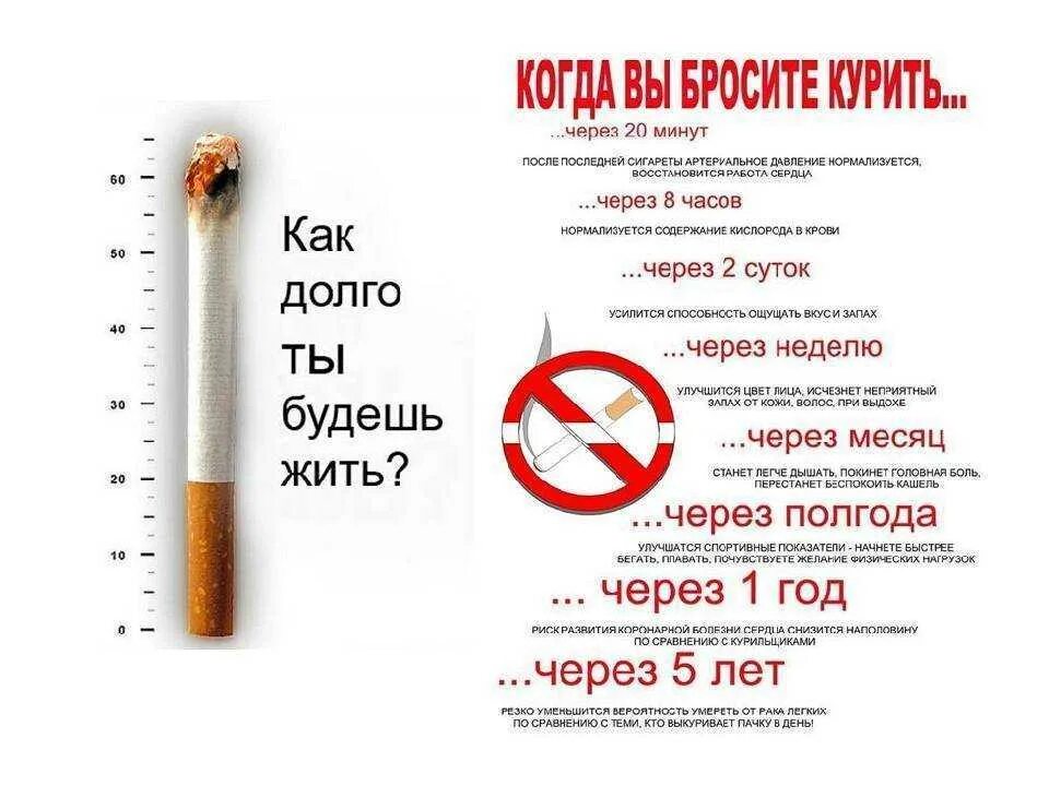 Чувствуется запах сигарет. Бросить курить. екрение. как бросить курить сигареты.