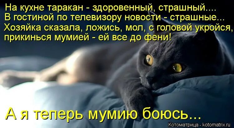 лягте или ляжте как правильно.