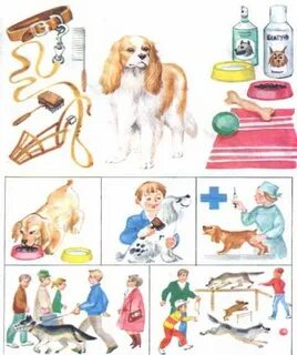 Предметы для ухода за домашними животными нарисованные