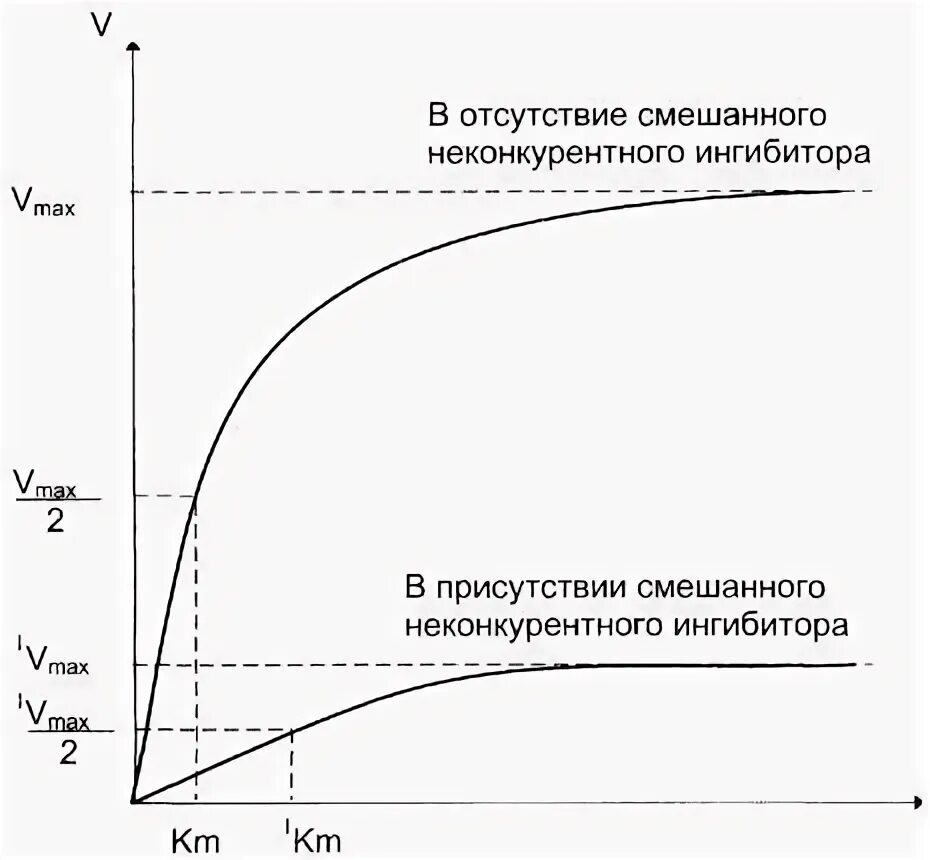 График конкурентного и неконкурентного ингибирования. График зависимости скорости реакции от концентрации фермента. график зависимости ферментативной реакции от концентрации субстрата. график скорости ферментативной реакции от концентрации субстрата. графики ингибирования ферментов.