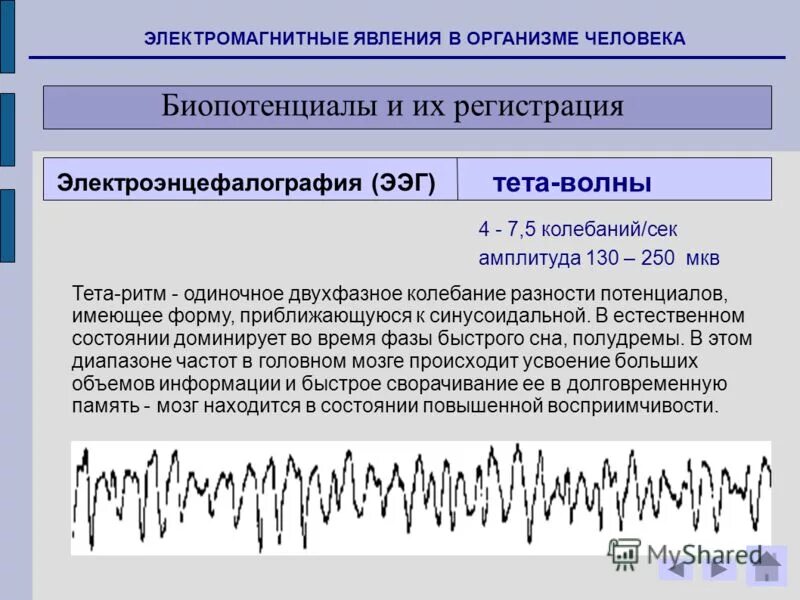 Изменения биопотенциалов головного мозга